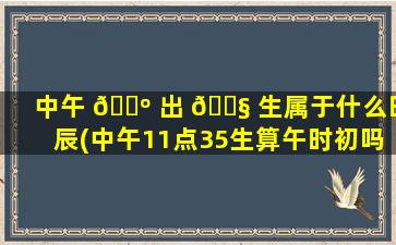 中午 🐺 出 🐧 生属于什么时辰(中午11点35生算午时初吗)